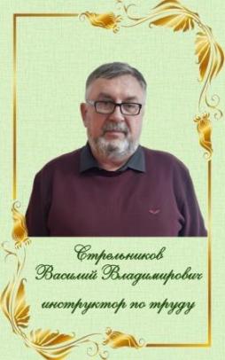 Стрельников Василий Владимирович